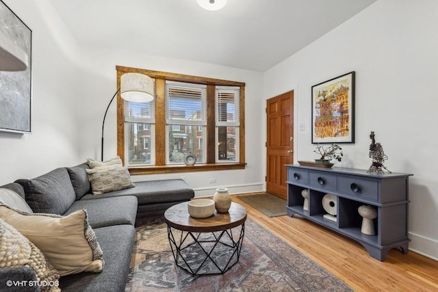 living room featuring wood-type flooring