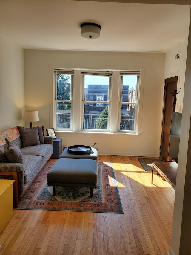 living room with light hardwood / wood-style flooring and a wealth of natural light