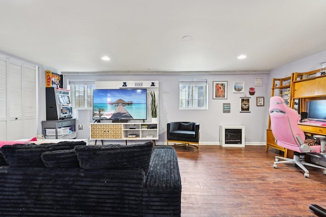 living room featuring wood-type flooring