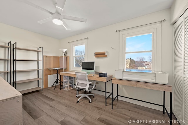 office featuring wood-type flooring and ceiling fan