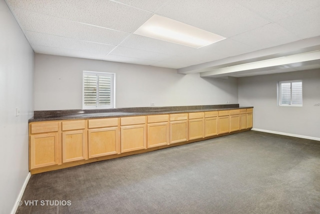 interior space featuring a healthy amount of sunlight, light brown cabinetry, and dark colored carpet