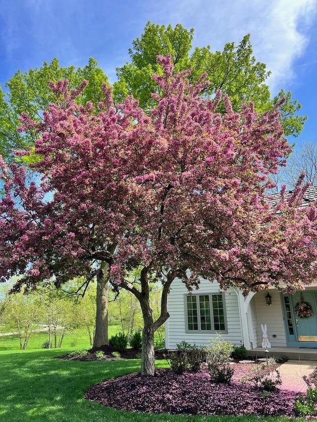 view of property exterior with a lawn