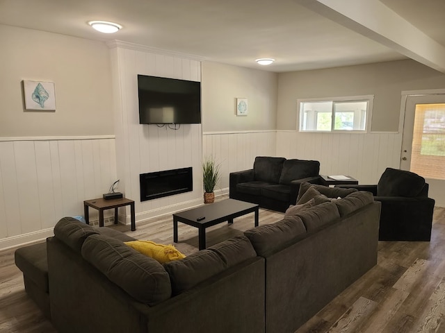 living room featuring dark hardwood / wood-style flooring and a large fireplace