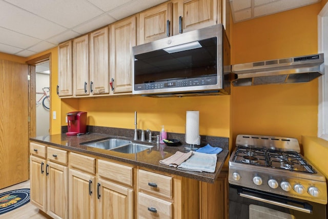 kitchen with sink, stainless steel appliances, light brown cabinetry, and a drop ceiling