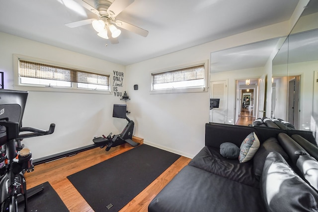 exercise room featuring wood-type flooring and ceiling fan