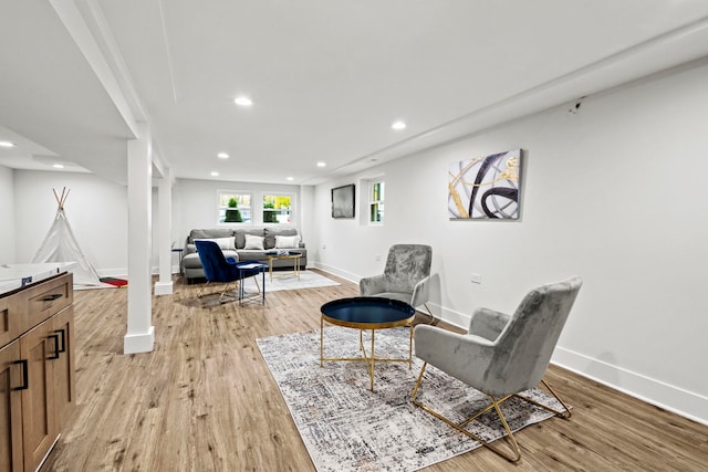 living room featuring light hardwood / wood-style flooring