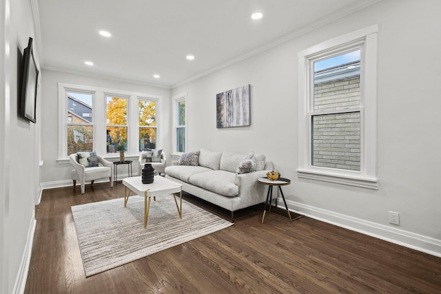 living room featuring dark hardwood / wood-style flooring and crown molding