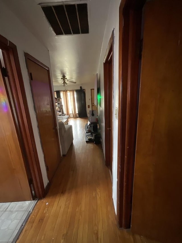 corridor featuring light hardwood / wood-style flooring