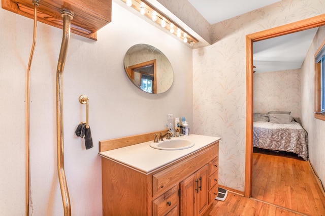 bathroom featuring vanity and wood-type flooring