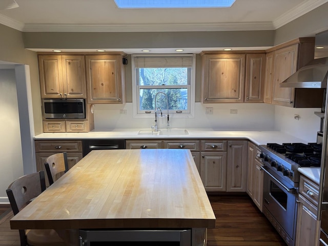 kitchen featuring wooden counters, appliances with stainless steel finishes, wall chimney exhaust hood, sink, and a kitchen island