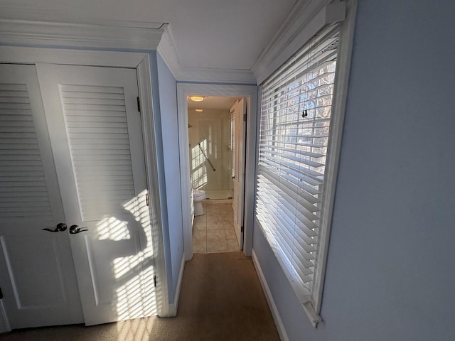 hallway featuring ornamental molding