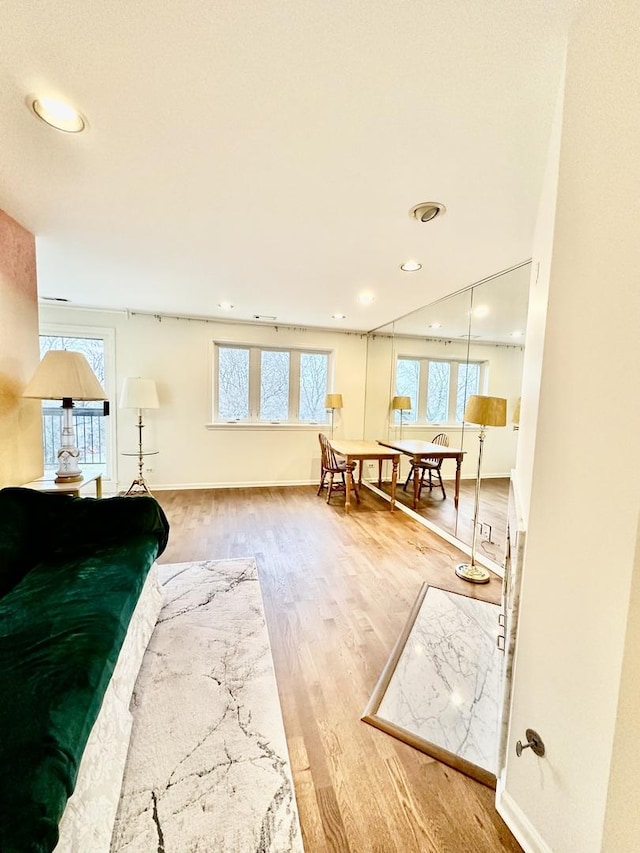 living room with wood-type flooring