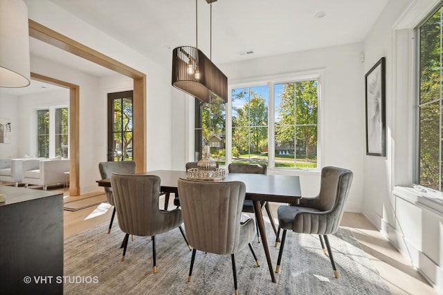 dining area with light hardwood / wood-style floors and a healthy amount of sunlight