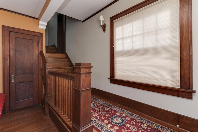 stairway with hardwood / wood-style flooring