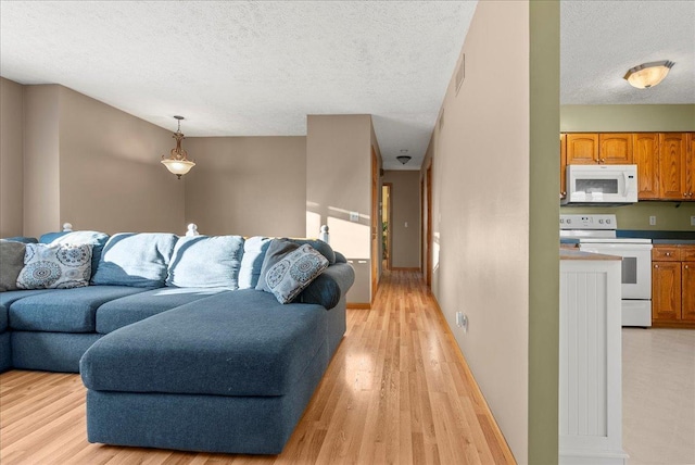 living room with a textured ceiling and light hardwood / wood-style flooring