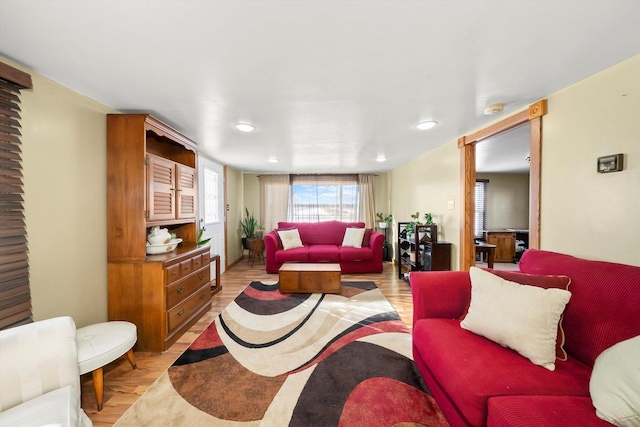 living room featuring light hardwood / wood-style flooring