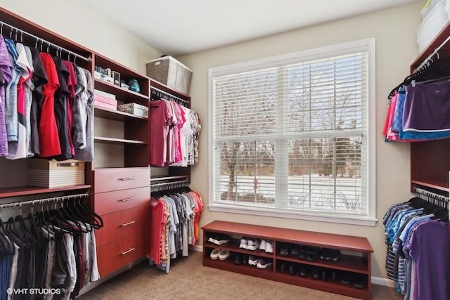 spacious closet with carpet