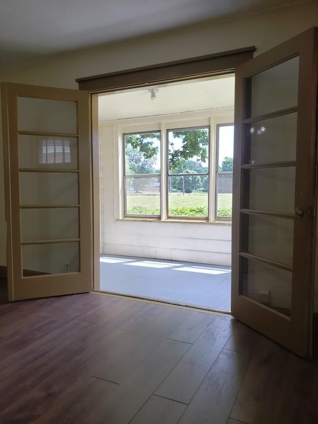 doorway to outside featuring dark wood-type flooring and french doors