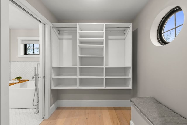 spacious closet with light wood-type flooring