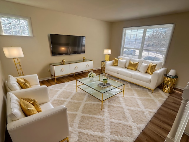 living room with hardwood / wood-style flooring