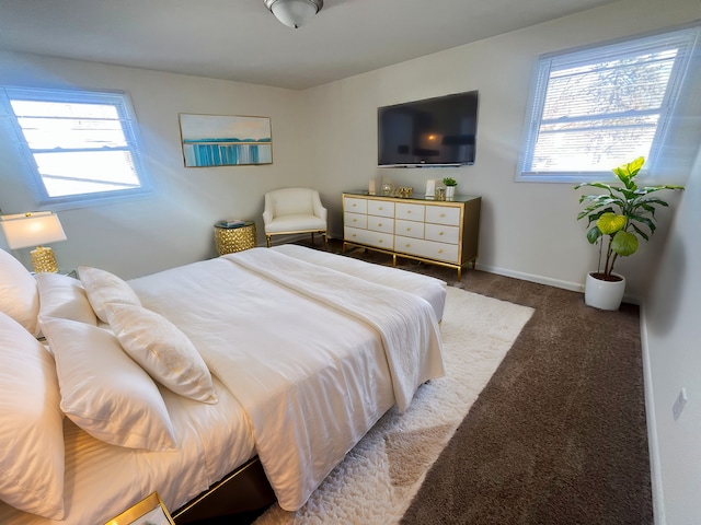 carpeted bedroom with multiple windows