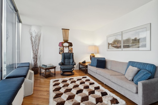 living room featuring hardwood / wood-style flooring