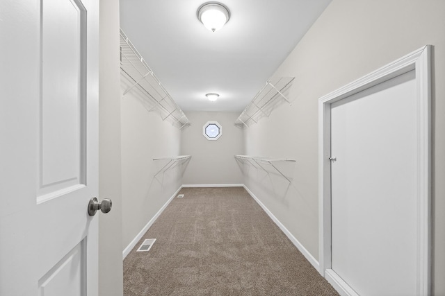 spacious closet featuring carpet floors