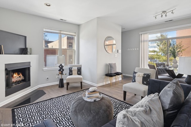 living room featuring wood-type flooring