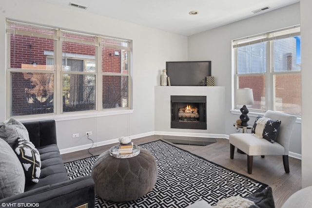 living room featuring hardwood / wood-style flooring