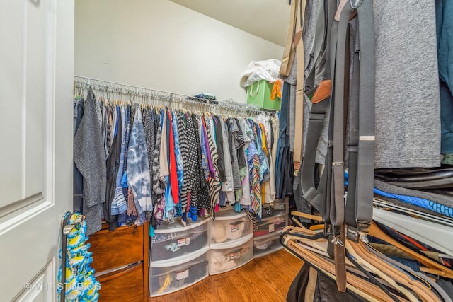 spacious closet with hardwood / wood-style flooring