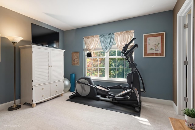 exercise area featuring carpet