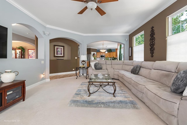 carpeted living room with ceiling fan and ornamental molding