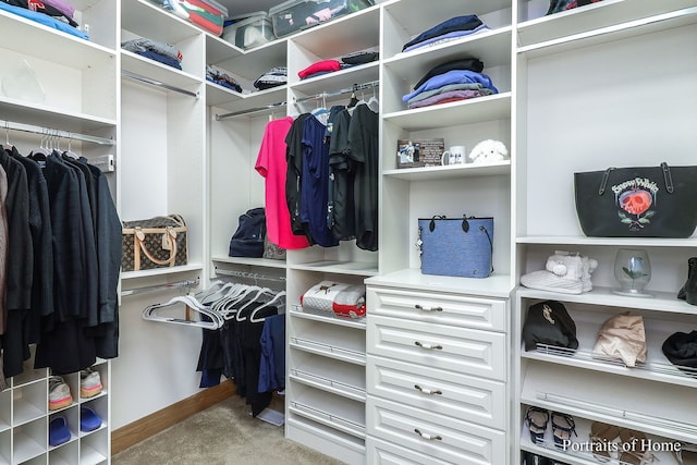 spacious closet featuring light carpet