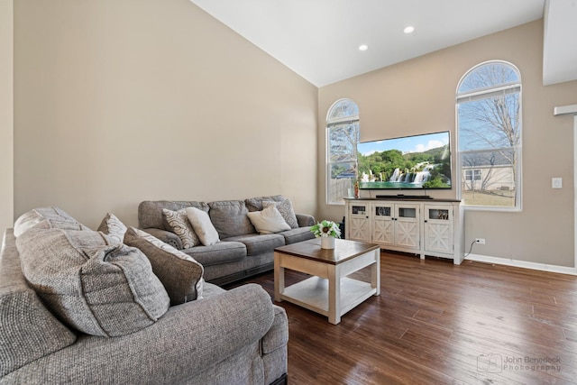 living room featuring high vaulted ceiling and dark hardwood / wood-style flooring