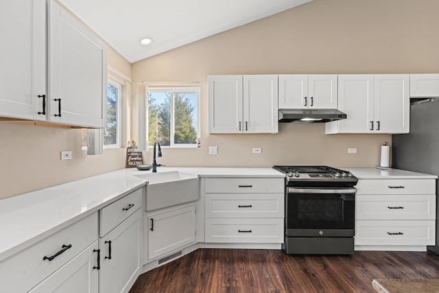 kitchen with appliances with stainless steel finishes, lofted ceiling, white cabinetry, sink, and dark hardwood / wood-style floors