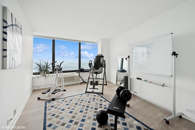 workout area with a water view and light hardwood / wood-style floors