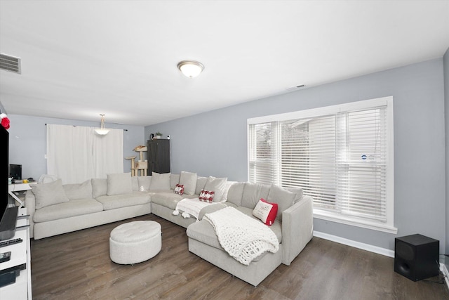 living room with dark hardwood / wood-style floors and a wealth of natural light