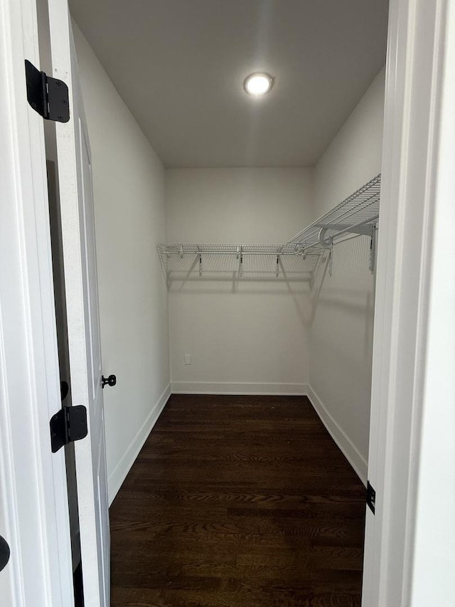 walk in closet featuring dark hardwood / wood-style floors