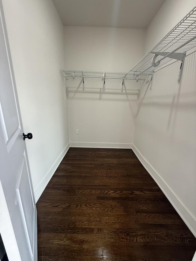 spacious closet with dark wood-type flooring