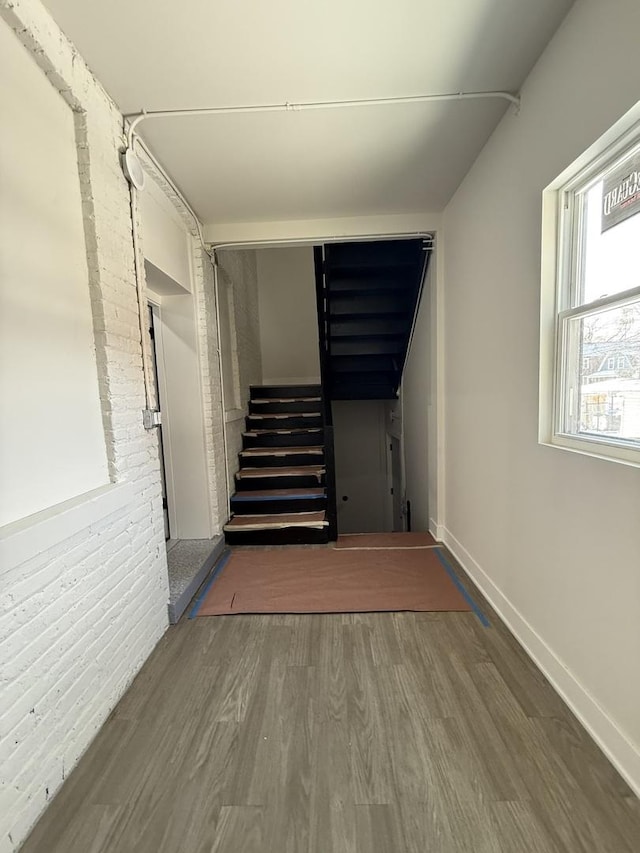 staircase featuring wood-type flooring