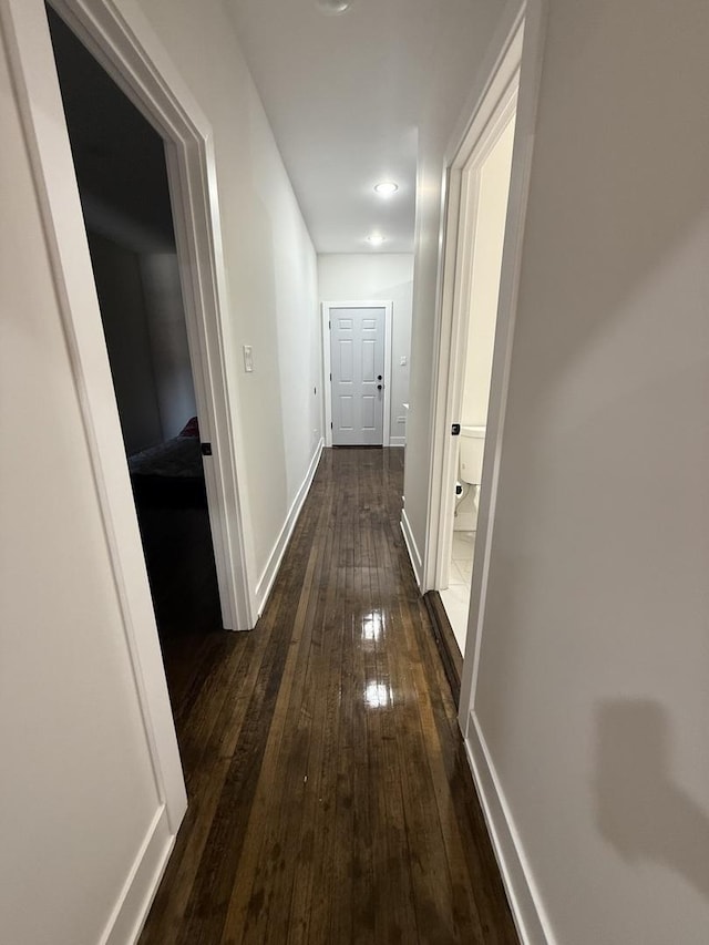 hallway featuring dark wood-type flooring