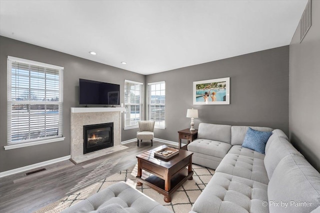 living room with a premium fireplace and light wood-type flooring