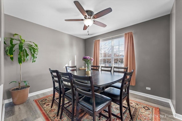 dining room featuring ceiling fan and hardwood / wood-style floors