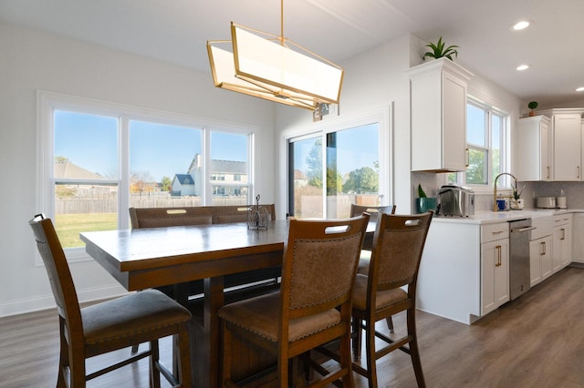 dining area featuring dark hardwood / wood-style flooring and sink