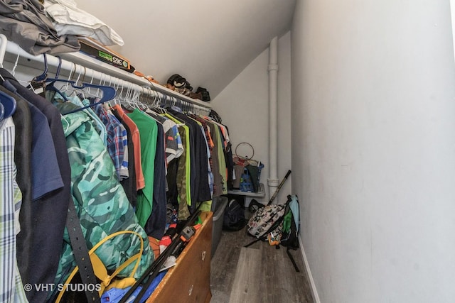 spacious closet featuring vaulted ceiling and hardwood / wood-style floors