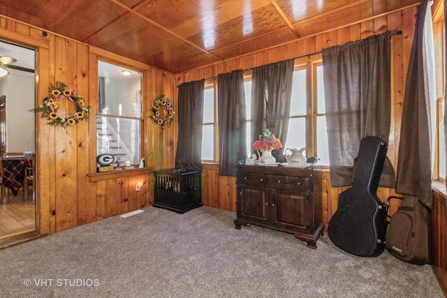 misc room featuring carpet, wood ceiling, and wooden walls