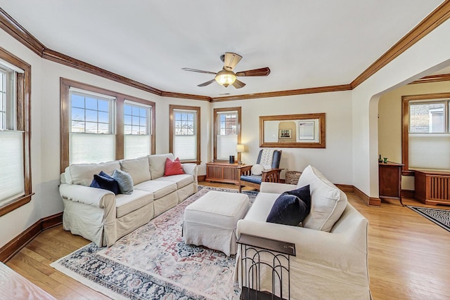 living room featuring ceiling fan, crown molding, and light hardwood / wood-style flooring