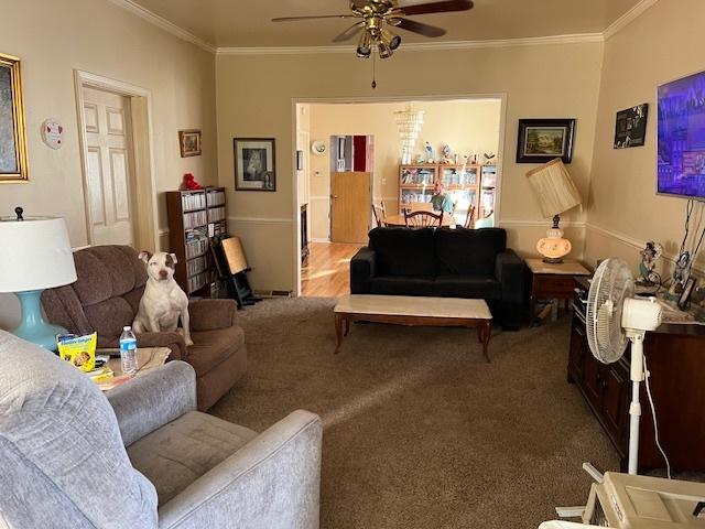 living room with ceiling fan, carpet, and ornamental molding