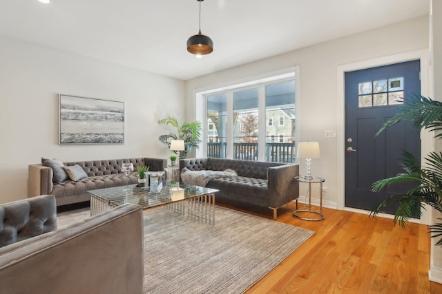 living room with hardwood / wood-style floors and a healthy amount of sunlight