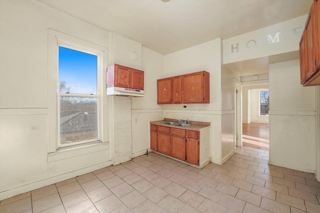 kitchen with a wealth of natural light and sink